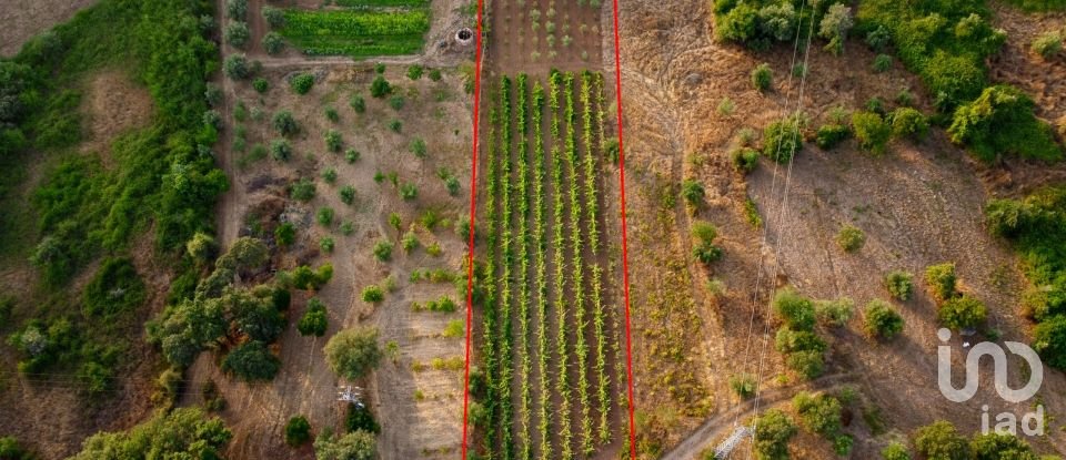 Land in Areias e Pias of 3,000 m²