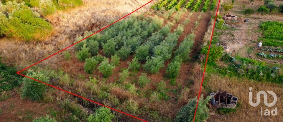 Land in Areias e Pias of 3,000 m²