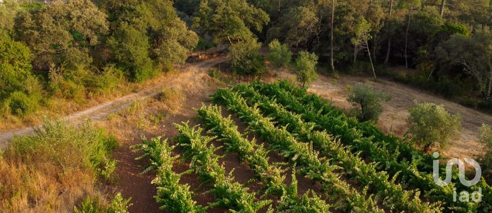 Land in Areias e Pias of 3,000 m²