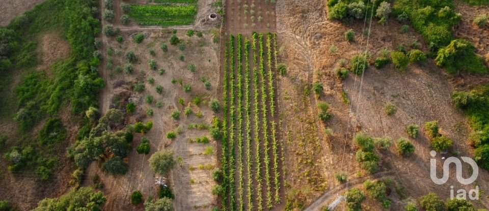 Land in Areias e Pias of 3,000 m²