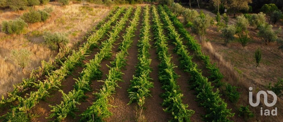 Land in Areias e Pias of 3,000 m²