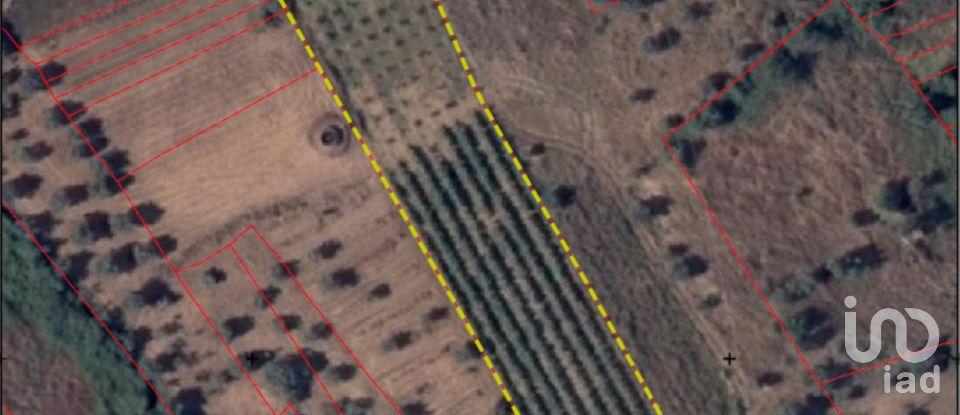 Land in Areias e Pias of 3,000 m²