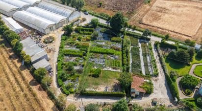 Boutique/Local commercial à Ramalhal de 8 000 m²