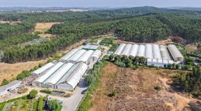 Boutique/Local commercial à Ramalhal de 8 000 m²