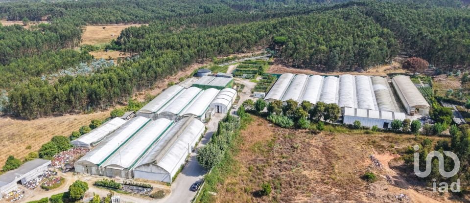 Boutique/Local commercial à Ramalhal de 8 000 m²