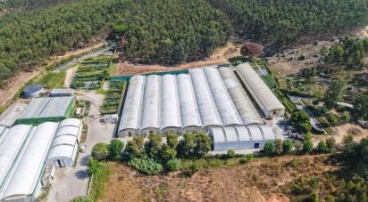 Boutique/Local commercial à Ramalhal de 8 000 m²