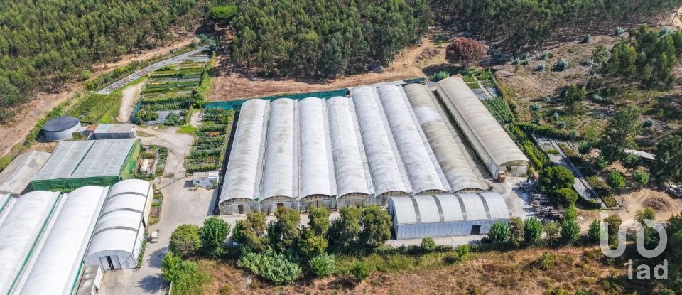 Boutique/Local commercial à Ramalhal de 8 000 m²