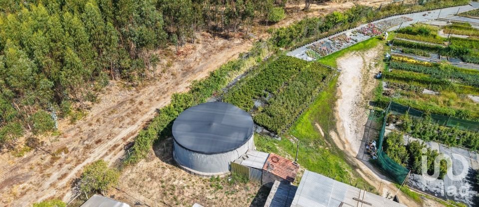 Boutique/Local commercial à Ramalhal de 8 000 m²