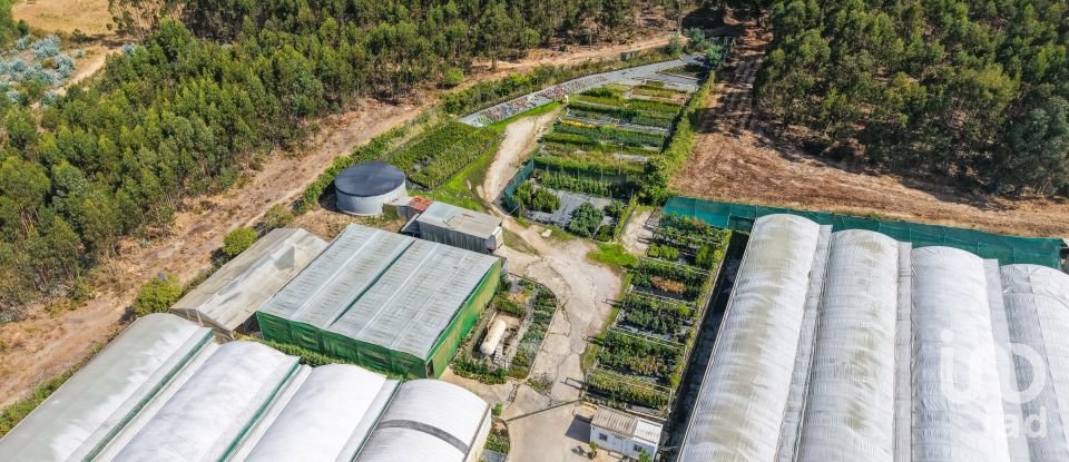 Boutique/Local commercial à Ramalhal de 8 000 m²