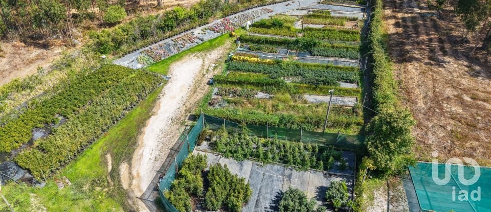 Boutique/Local commercial à Ramalhal de 8 000 m²