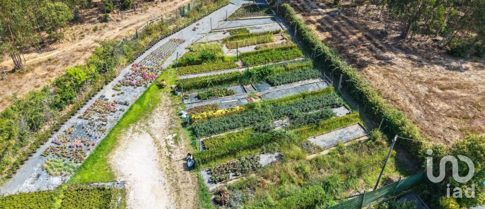 Boutique/Local commercial à Ramalhal de 8 000 m²