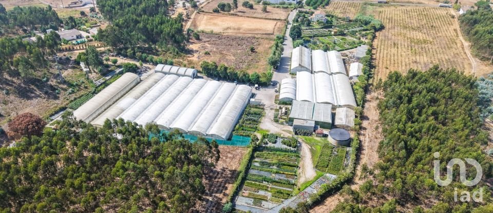 Boutique/Local commercial à Ramalhal de 8 000 m²