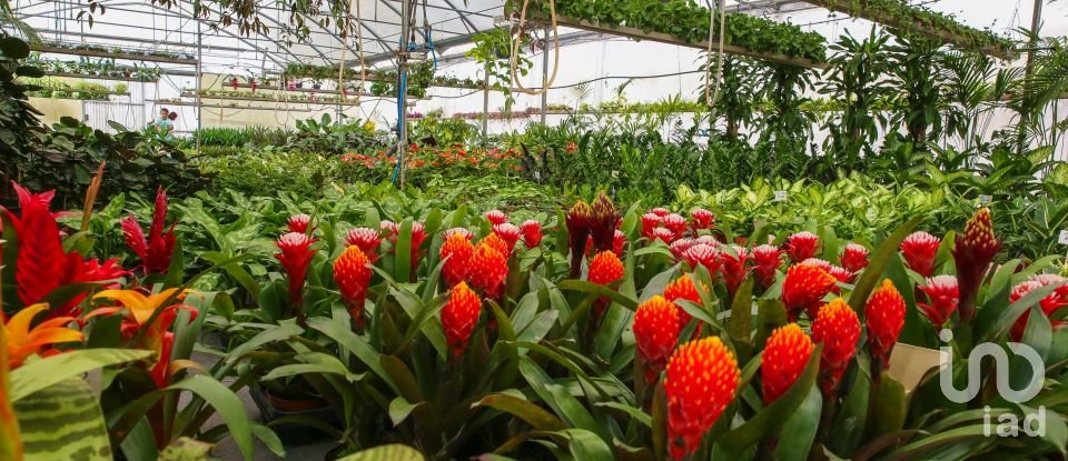 Boutique/Local commercial à Ramalhal de 8 000 m²