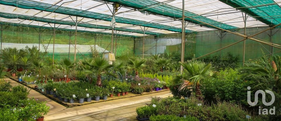 Boutique/Local commercial à Ramalhal de 8 000 m²