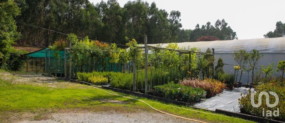 Boutique/Local commercial à Ramalhal de 8 000 m²