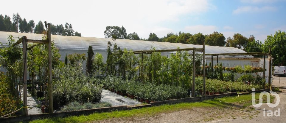 Boutique/Local commercial à Ramalhal de 8 000 m²