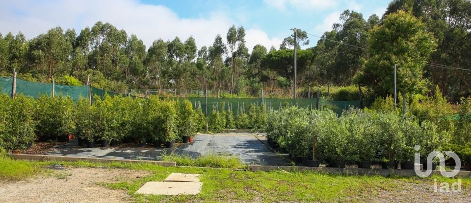 Boutique/Local commercial à Ramalhal de 8 000 m²