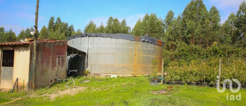 Boutique/Local commercial à Ramalhal de 8 000 m²