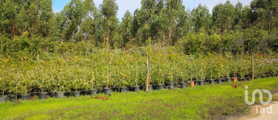 Boutique/Local commercial à Ramalhal de 8 000 m²