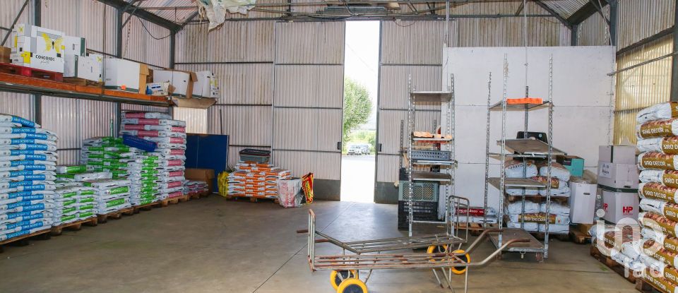 Boutique/Local commercial à Ramalhal de 8 000 m²