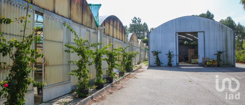 Boutique/Local commercial à Ramalhal de 8 000 m²