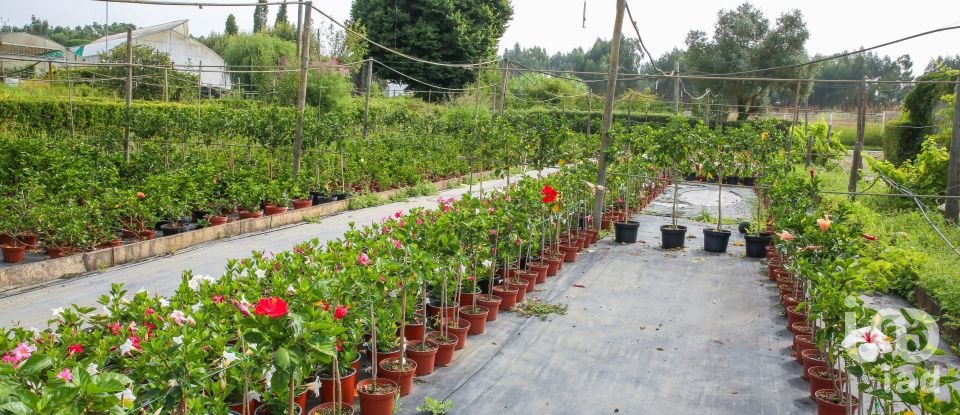 Boutique/Local commercial à Ramalhal de 8 000 m²