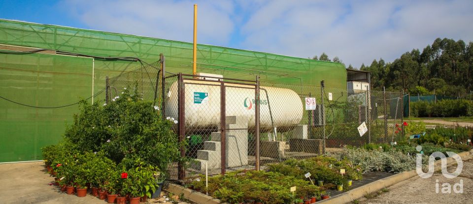 Boutique/Local commercial à Ramalhal de 8 000 m²