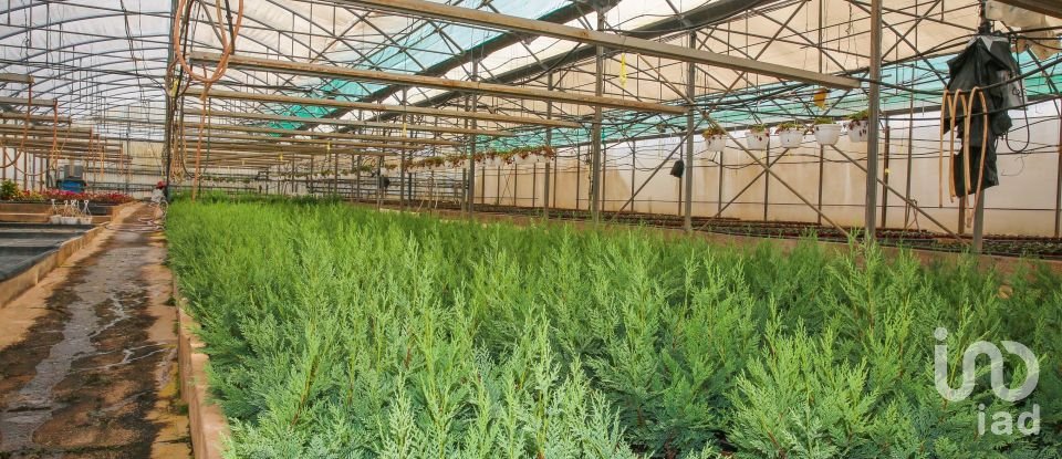 Boutique/Local commercial à Ramalhal de 8 000 m²