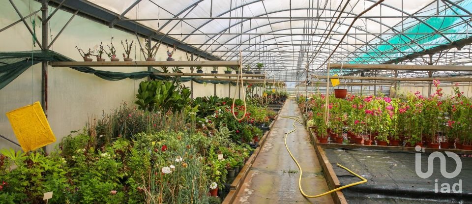 Boutique/Local commercial à Ramalhal de 8 000 m²