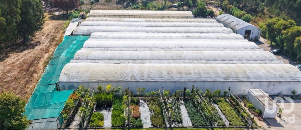 Boutique/Local commercial à Ramalhal de 8 000 m²