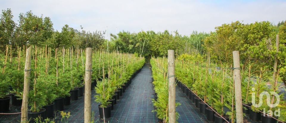 Boutique/Local commercial à Ramalhal de 8 000 m²