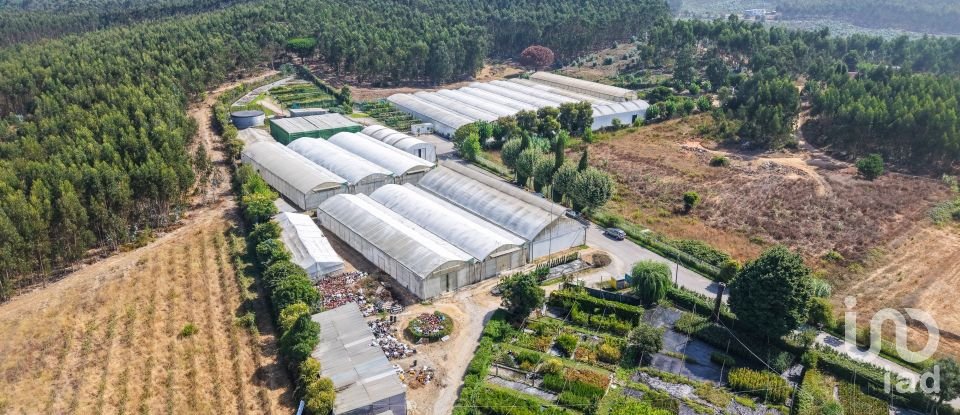 Boutique/Local commercial à Ramalhal de 8 000 m²