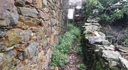 Maison T0 à Alvares de 130 m²