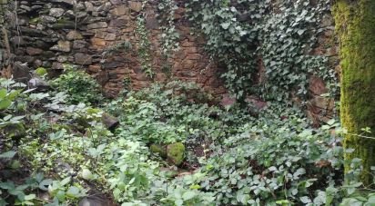 Maison T0 à Alvares de 130 m²