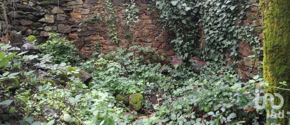 Maison T0 à Alvares de 130 m²