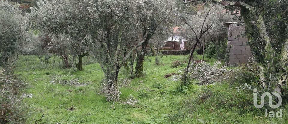 Maison T0 à Alvares de 130 m²