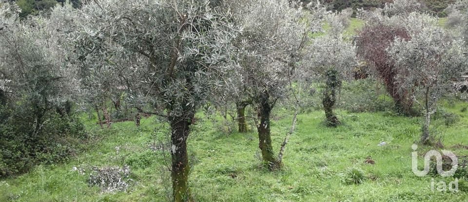 Maison T0 à Alvares de 130 m²