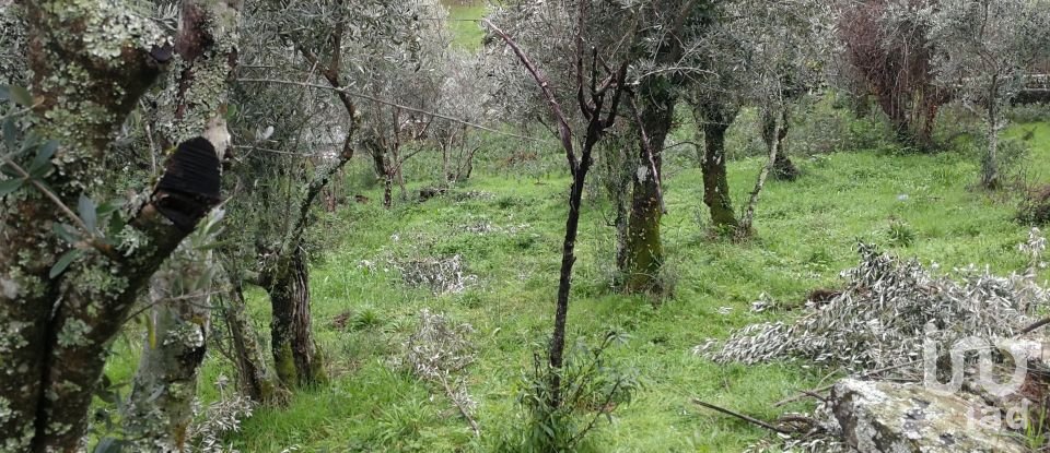 Maison T0 à Alvares de 130 m²