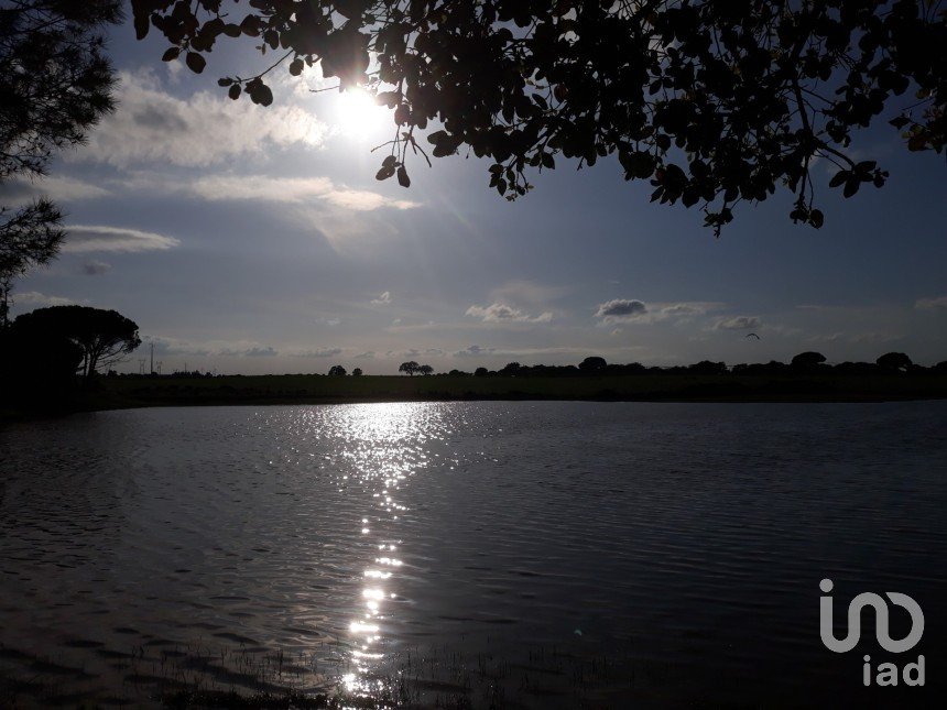 Terreno urbano em Poceirão e Marateca de 76 138 m²