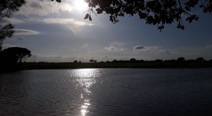 Terrain à bâtir à Poceirão e Marateca de 76 138 m²