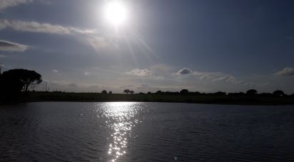 Building plot in Poceirão e Marateca of 76,138 m²