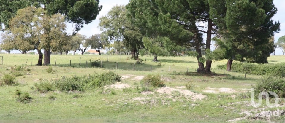 Terreno urbano em Poceirão e Marateca de 76 138 m²