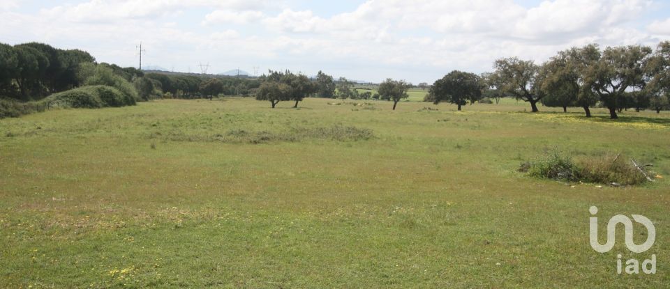 Terreno urbano em Poceirão e Marateca de 76 138 m²