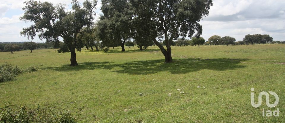 Terreno urbano em Poceirão e Marateca de 76 138 m²