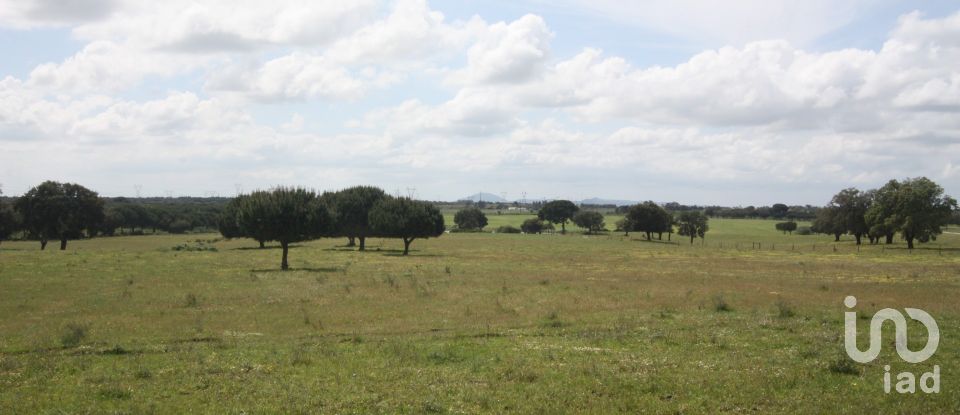 Terreno urbano em Poceirão e Marateca de 76 138 m²