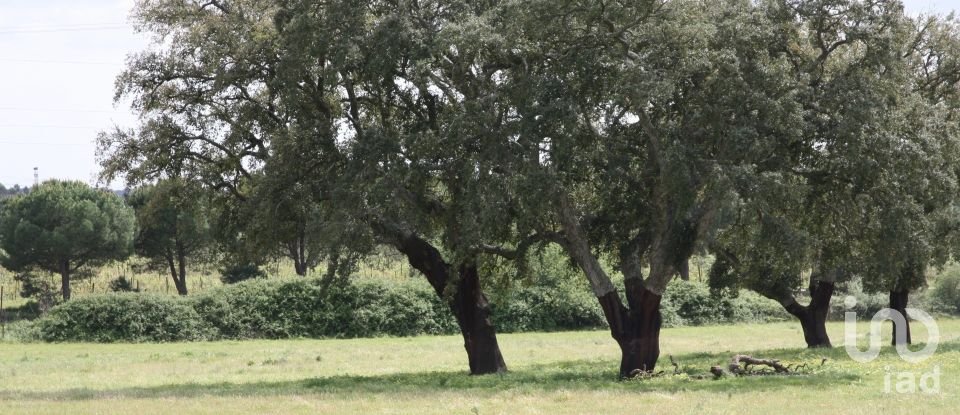 Terreno urbano em Poceirão e Marateca de 76 138 m²