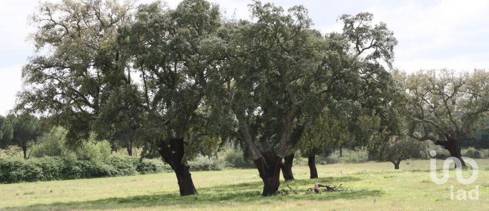 Terreno urbano em Poceirão e Marateca de 76 138 m²