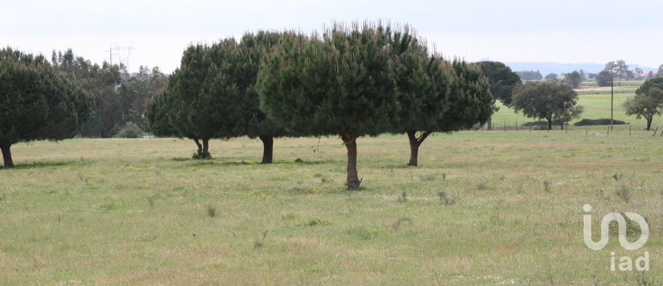 Terreno urbano em Poceirão e Marateca de 76 138 m²