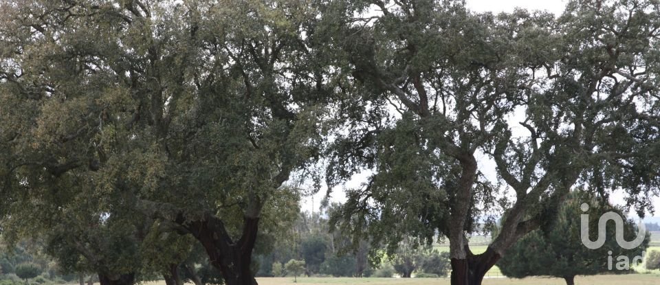 Terreno urbano em Poceirão e Marateca de 76 138 m²
