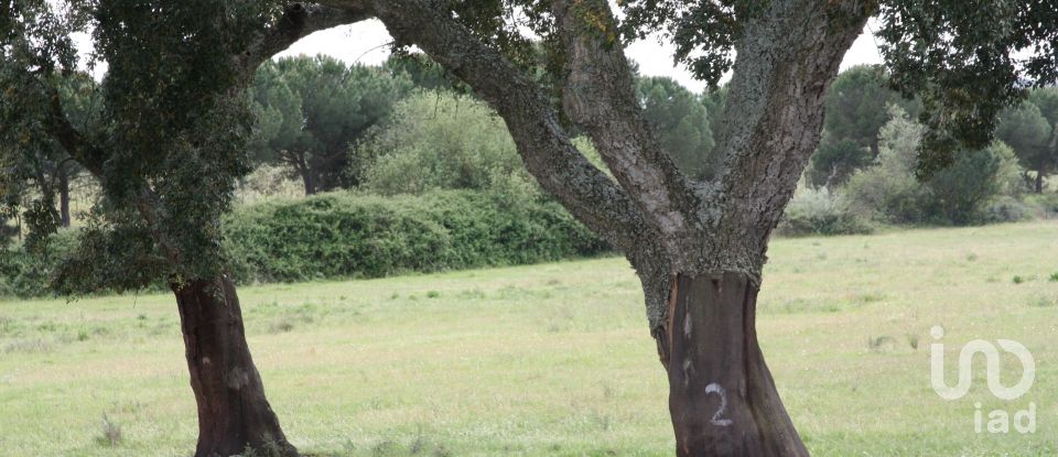 Terreno urbano em Poceirão e Marateca de 76 138 m²